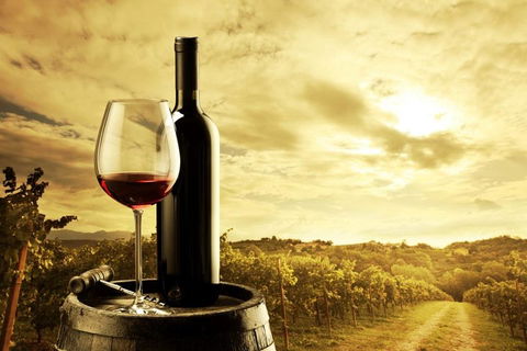 McLaren Vale Luxury Wine Tour - Holiday Sunshine Coast 0