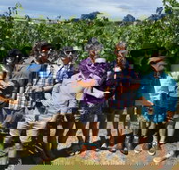 Adelaide Hills and Hahndorf - Half Day Private Tour - Sunshine Coast Tourism