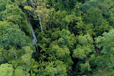 Natural Bridge, Skywalk And Mt Tamborine Adventure! - Holiday Sunshine Coast 2