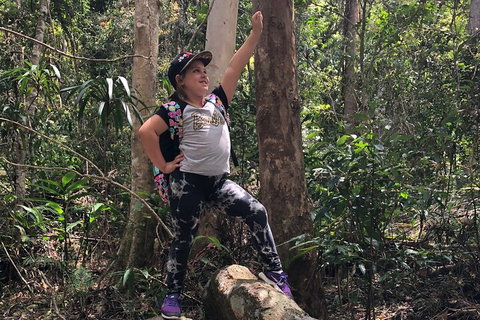 Natural Bridge, Skywalk And Mt Tamborine Adventure! - Holiday Sunshine Coast 3