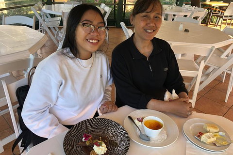 Natural Bridge, Skywalk And Mt Tamborine Adventure! - Holiday Sunshine Coast 5