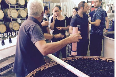 Luxury Private Mclaren Vale Wine Tour - Sunshine Coast Tourism 4