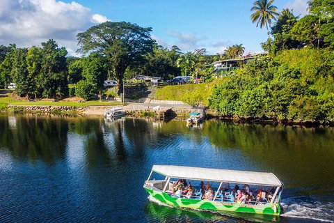 Full Day Tour In The Daintree - Holiday Sunshine Coast 2