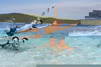 Book Viator Accommodation Vacations Holiday Sunshine Coast Holiday Sunshine Coast