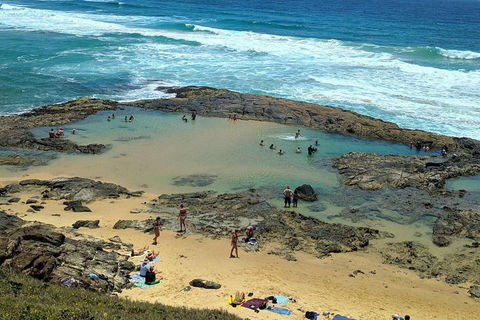 Pippies 3 Days 2 Nights Fraser Island Tour - Sunshine Coast Tourism 5