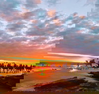 1 Hour Broome Sunset Camel Tour - Holiday Sunshine Coast