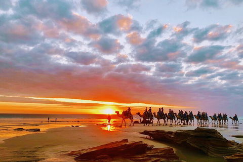 1 Hour Broome Sunset Camel Tour - Holiday Sunshine Coast 0