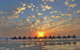 1 Hour Broome Sunset Camel Tour - thumb 1