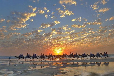 1 Hour Broome Sunset Camel Tour - Holiday Sunshine Coast 1