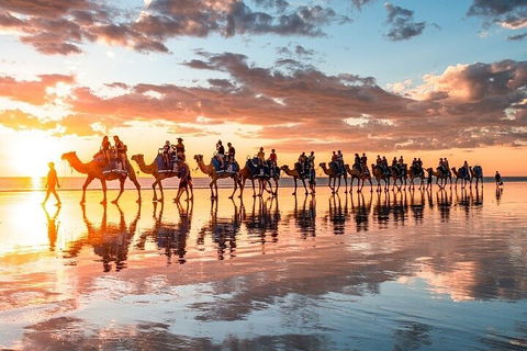 1 Hour Broome Sunset Camel Tour - Holiday Sunshine Coast 2