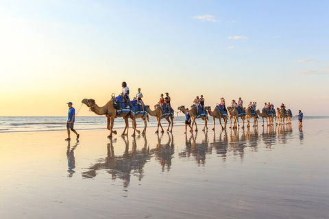 1 Hour Broome Sunset Camel Tour - Holiday Sunshine Coast 5