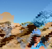 Broome Pre-sunset Camel Tour 30 minutes - Holiday Sunshine Coast