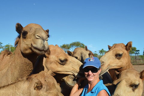 Broome Pre-sunset Camel Tour 30 Minutes - Sunshine Coast Tourism 0