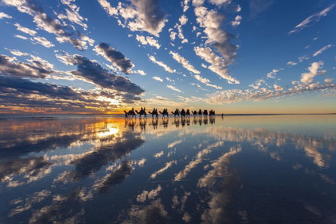Broome Pre-sunset Camel Tour 30 Minutes - Sunshine Coast Tourism 4