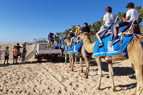 Broome Pre-sunset Camel Tour 30 Minutes - Sunshine Coast Tourism 5