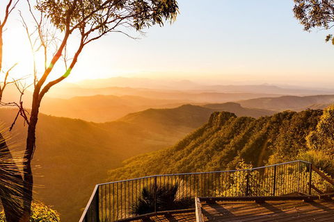 O'Reilly's & Lamington National Park Incl. Alpaca Farm + Vineyard - Sunshine Coast Tourism 0
