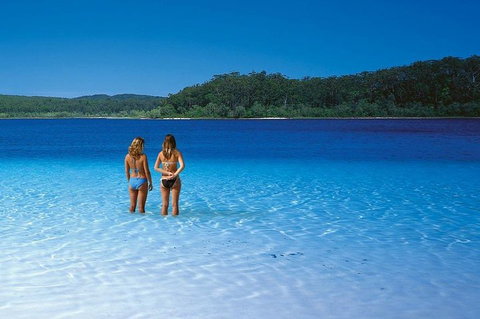 Fraser Island 4WD Tour From Noosa - Holiday Sunshine Coast 2