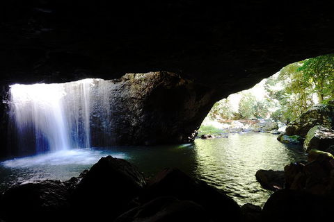 Natural Arch, Rainforest & Volcano Canyon - Private Half Day Tour - Sunshine Coast Tourism 0