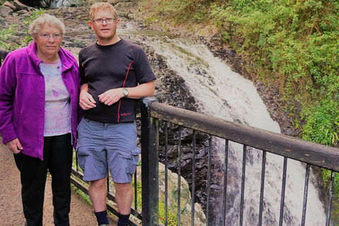 Natural Arch, Rainforest & Volcano Canyon - Private Half Day Tour - Sunshine Coast Tourism 1