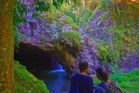 Natural Arch, Rainforest & Volcano Canyon - Private Half Day Tour - Sunshine Coast Tourism 4