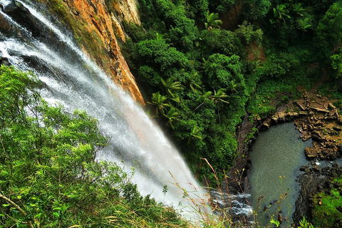 Natural Arch, Rainforest & Volcano Canyon - Private Half Day Tour - Sunshine Coast Tourism 5