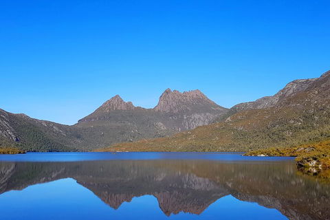 Tasmania 6 Day 'Tour In Circle' - Sunshine Coast Tourism 3