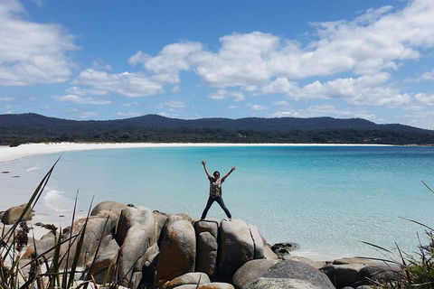 Tasmania 4 Day East Coast + Launceston - Sunshine Coast Tourism 1