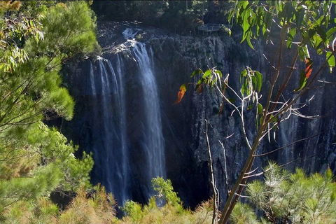 Byron Bay Hinterland Tour Including Rainforest Walk To Minyon Falls - Sunshine Coast Tourism 0