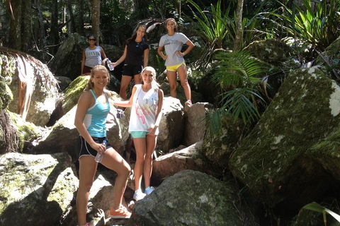 Byron Bay Hinterland Tour Including Rainforest Walk To Minyon Falls - Sunshine Coast Tourism 3