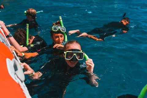Whitehaven Beach And Hill Inlet Lookout Full-Day Snorkeling Cruise By High-Speed Catamaran - Holiday Sunshine Coast 3
