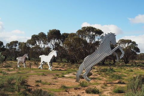 Wave Rock, Wild Flowers And Astro Photography - Sunshine Coast Tourism 5