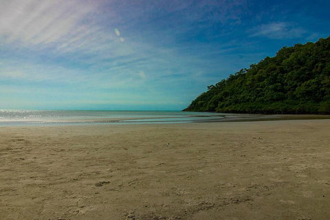Cape Tribulation Day Tour - Sunshine Coast Tourism 2
