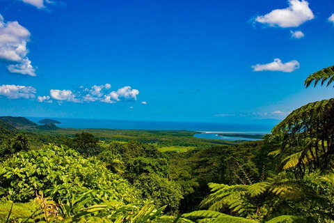 Cape Tribulation Day Tour - Sunshine Coast Tourism 3