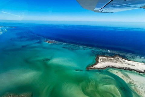 Wet Season Incredible Islands Tour - Horizontal Falls & Cygnet Bay Pearl Farm - Holiday Sunshine Coast 4
