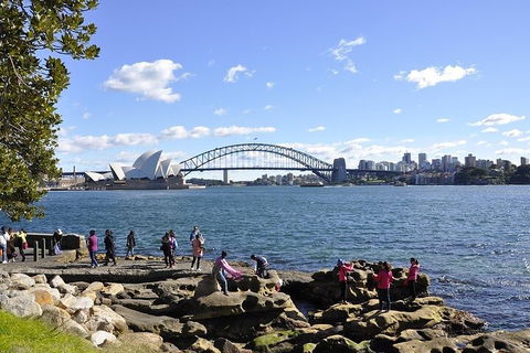 Sydney Sightseeing Bus Tours - Sunshine Coast Tourism 2