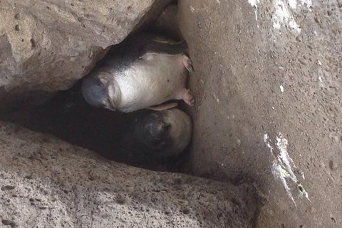 Food Tour Melbourne - St Kilda - Sunshine Coast Tourism 3