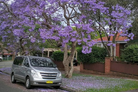 Sydney Secrets & Bondi Beach Private 4 Hr Morning With Personalised Sydney Tours - Sunshine Coast Tourism 0