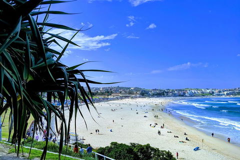 Sydney Secrets & Bondi Private 4 Hour Afternoon With 'Personalised Sydney Tours' - Sunshine Coast Tourism 0