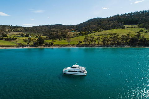Deep-to-Dish: Tasmanian Seafood Experience - Sunshine Coast Tourism 0