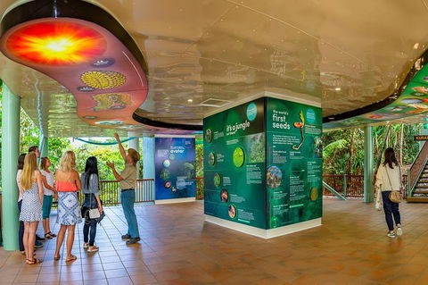 Skyrail & Kuranda Train Day Trip From Cairns - Sunshine Coast Tourism 0
