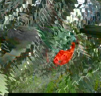 3-Day Private Adelaide to Melbourne tour - Sunshine Coast Tourism