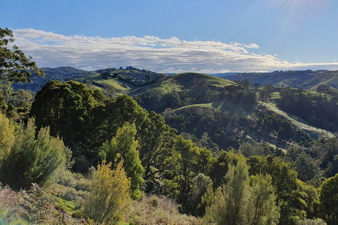 3-Day Adelaide To Melbourne Tour Including The Great Ocean Road - Holiday Sunshine Coast 5