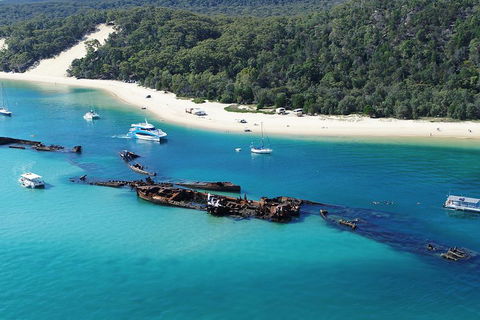 All Inclusive Dolphin And Tangalooma Wrecks Cruise - Holiday Sunshine Coast 4