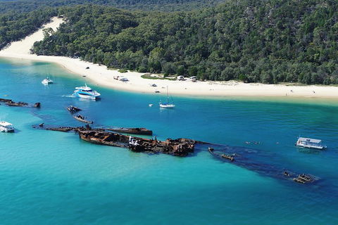 All Inclusive Tangalooma Wrecks Cruise Tour From Gold Coast - Holiday Sunshine Coast 0