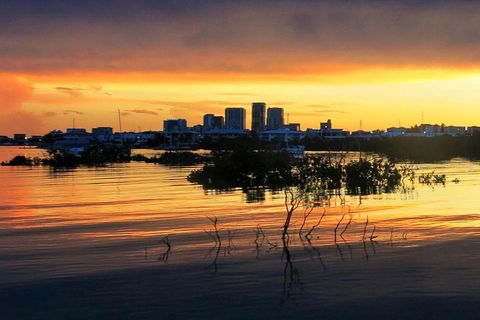 Tropical Light Sundowner Cruise With Drinks Included - Sunshine Coast Tourism 0