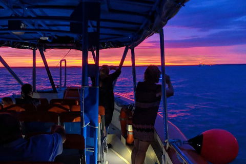Tropical Light Sundowner Cruise With Drinks Included - Sunshine Coast Tourism 5