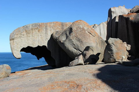 Kangaroo Island Personal Group Tours - Holiday Sunshine Coast 2