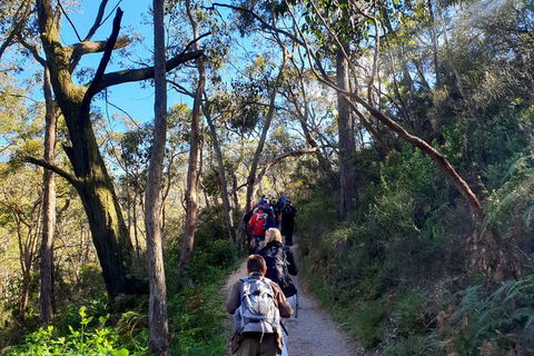 Self-Guided Waterfall Gully To Mount Lofty Hike From Adelaide - Sunshine Coast Tourism 1