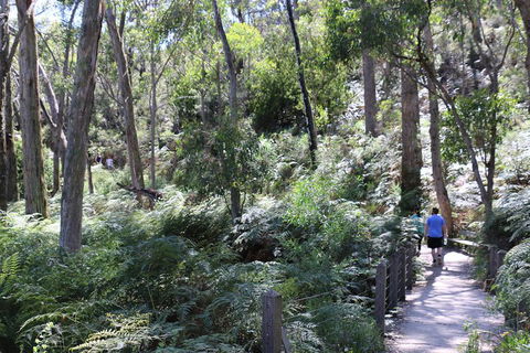Self-Guided Waterfall Gully To Mount Lofty Hike From Adelaide - Sunshine Coast Tourism 2
