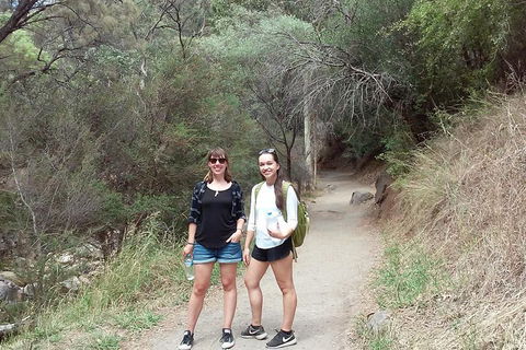 Self-Guided Waterfall Gully To Mount Lofty Hike From Adelaide - Sunshine Coast Tourism 4